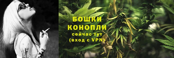 сатива Пересвет