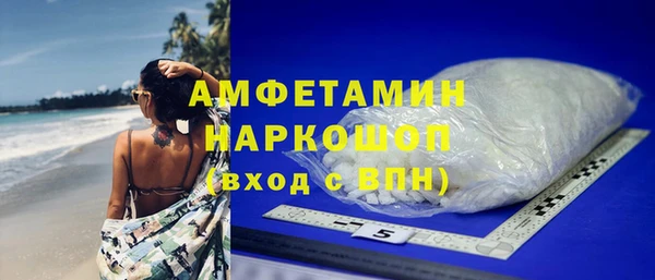 сатива Пересвет