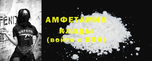 сатива Пересвет