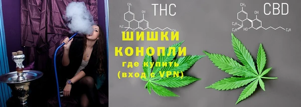 сатива Пересвет