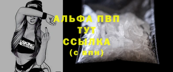 сатива Пересвет