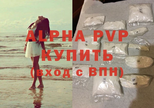 сатива Пересвет