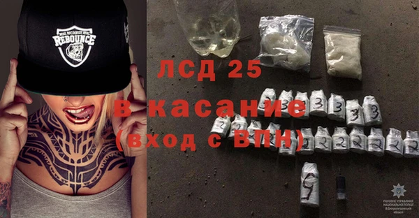 сатива Пересвет