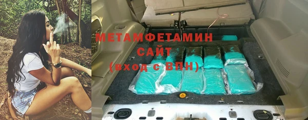 сатива Пересвет