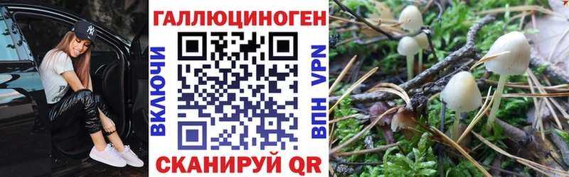 OMG tor  Приморск  Псилоцибиновые грибы MAGIC MUSHROOMS  даркнет сайт 